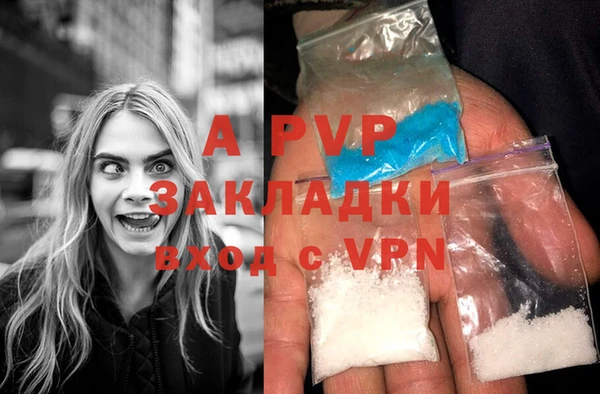 крисы Медногорск