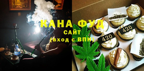 гашик Мегион