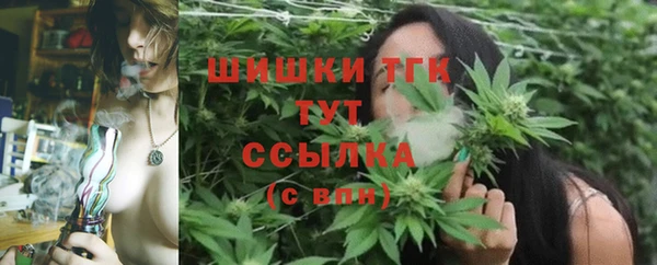 гашик Мегион