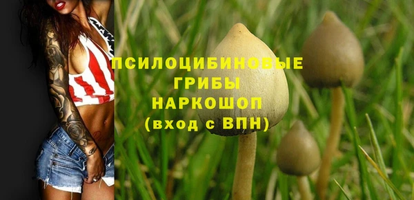 крисы Медногорск